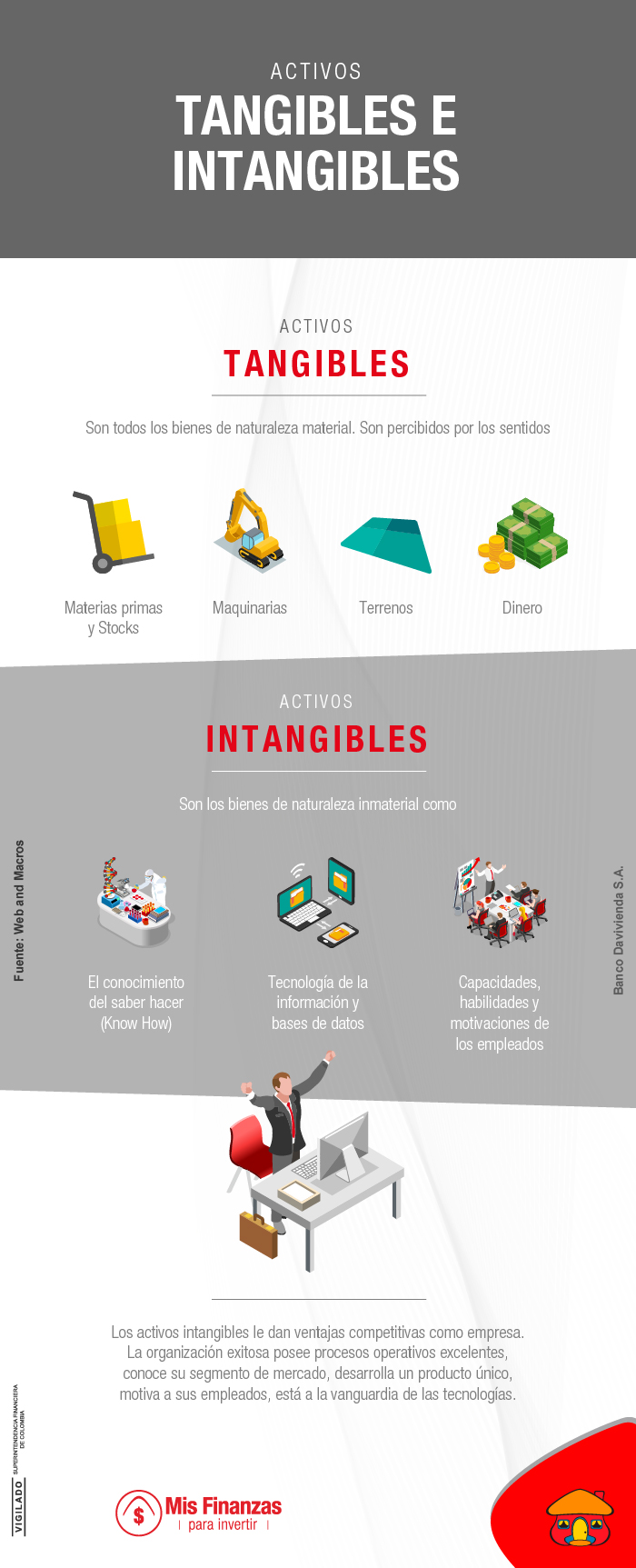 Activos tangibles e intangibles