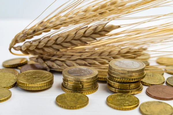 ¿Cómo invertir en las diferentes alternativas de materias primas o commodities?