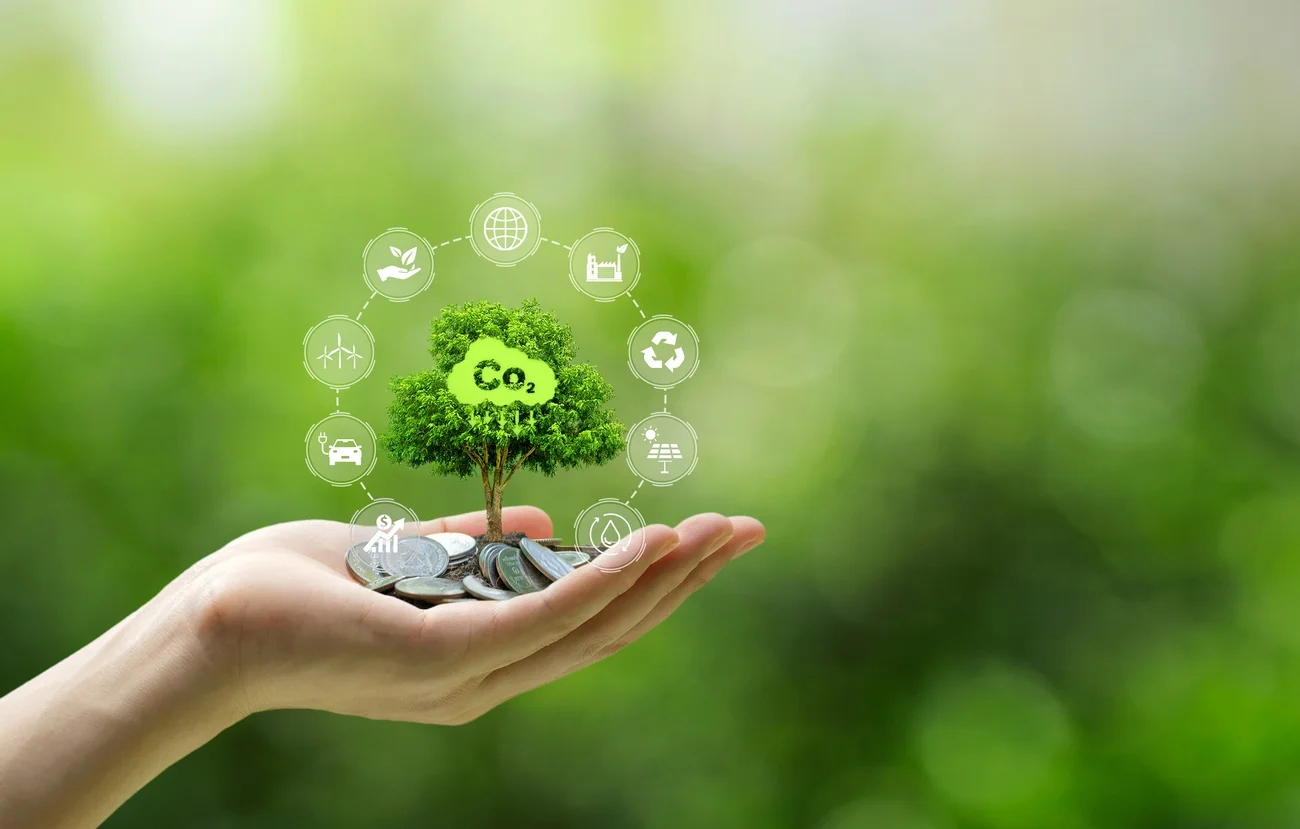 Colombia, un país con potencial para la inversión en mercados de carbono