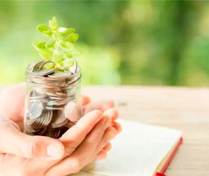 Inversión para un desarrollo sostenible