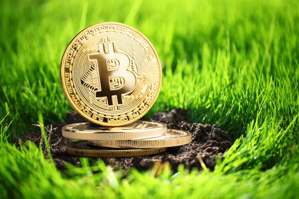 El impacto medioambiental que tiene el uso del bitcoin