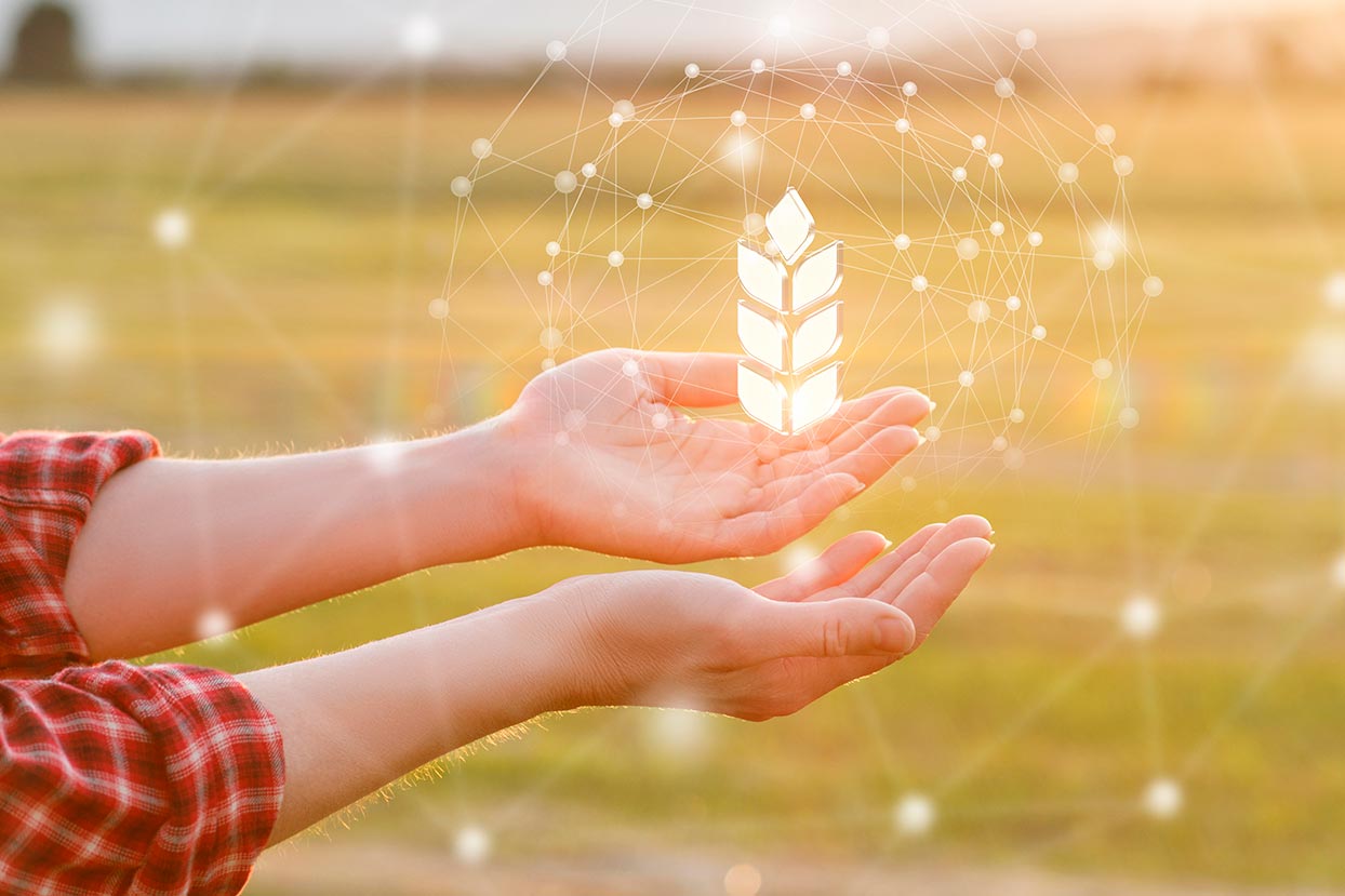 Invertir en productos agrícolas colombianos está a un clic que distancia