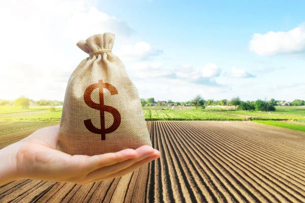 4 beneficios de la planificación financiera para los negocios rurales
