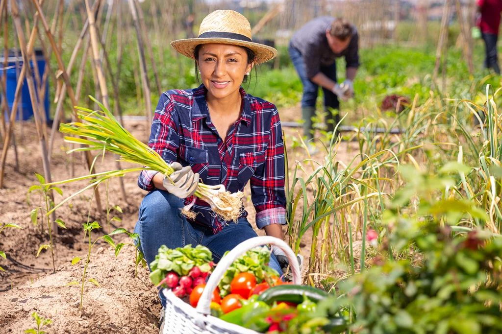 ¡Feliz día del campesino! Tips financieros para proteger su negocio de imprevistos.