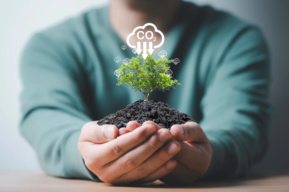 Productos con carbono neutral: una oportunidad para hacer crecer su negocio