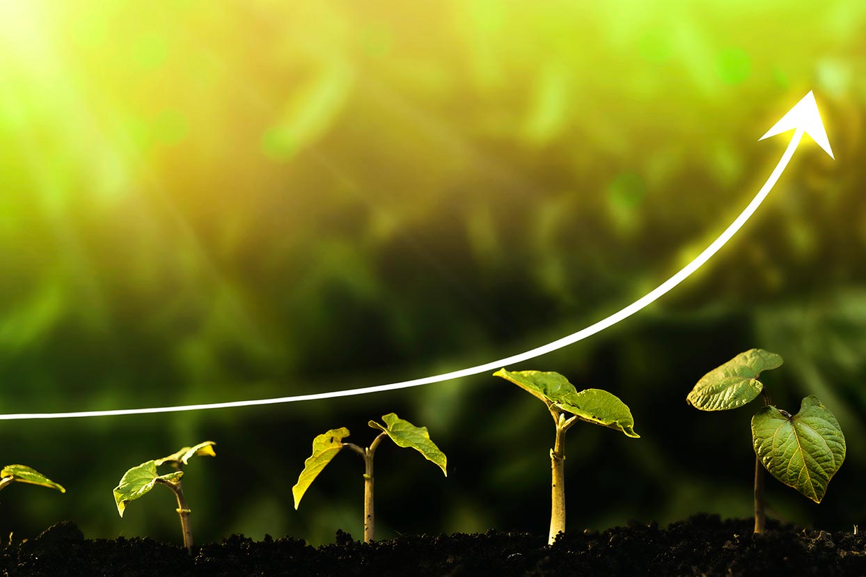 Principios para la Inversión Responsable: la clave para un sistema financiero sostenible