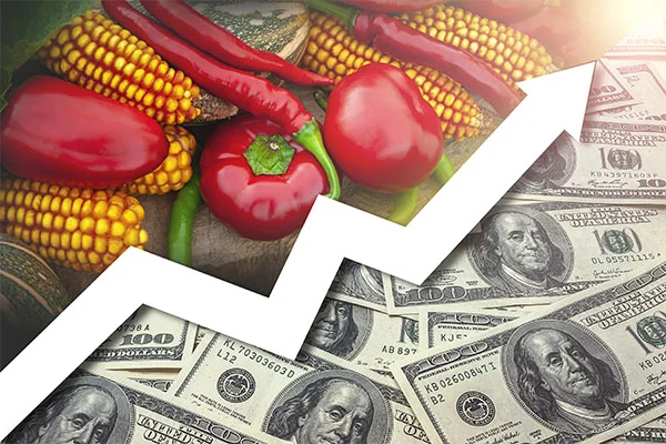 Productos agrícolas: ¿una oportunidad de inversión?