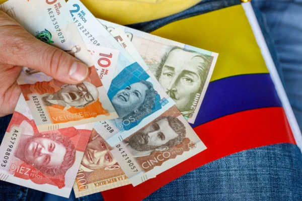 Conozca los tipos de proyectos en los puede invertir su dinero